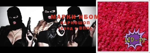 ПСИЛОЦИБИНОВЫЕ ГРИБЫ Алексеевка