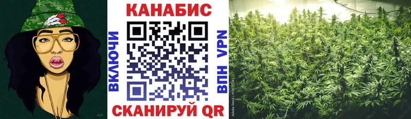 закладки Ардон Конопля гибрид